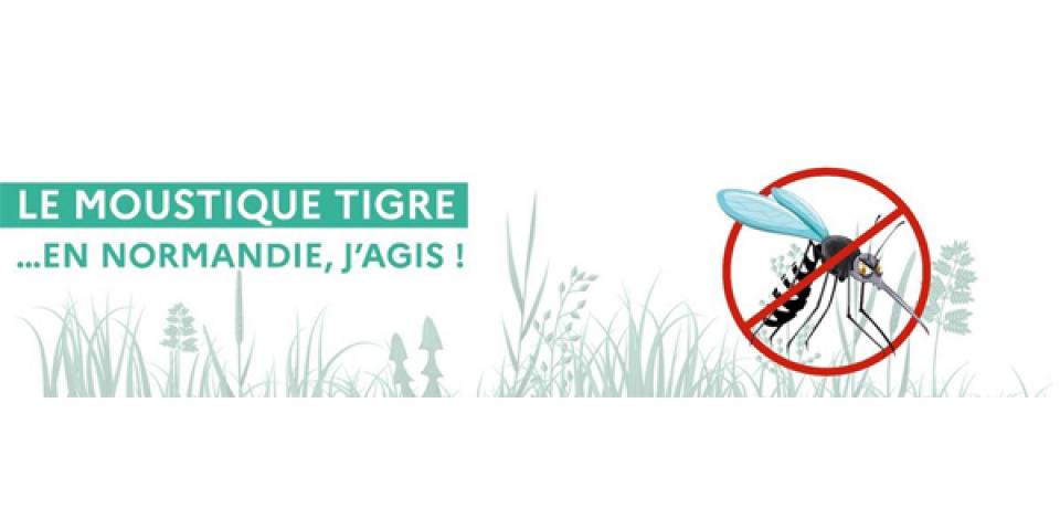 Campagne de prévention contre le moustique tigre